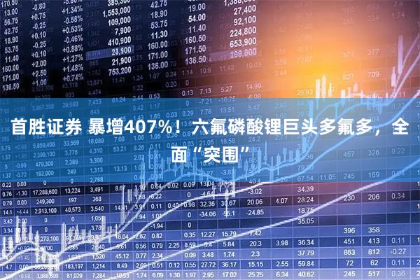 首胜证券 暴增407%！六氟磷酸锂巨头多氟多，全面“突围”