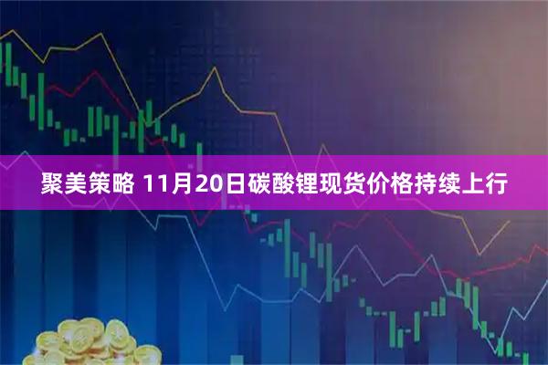 聚美策略 11月20日碳酸锂现货价格持续上行