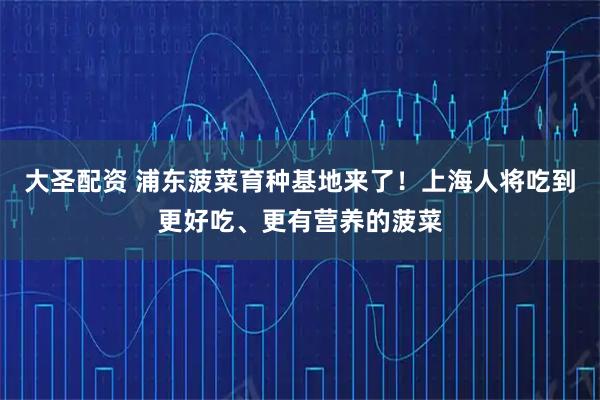 大圣配资 浦东菠菜育种基地来了！上海人将吃到更好吃、更有营养的菠菜